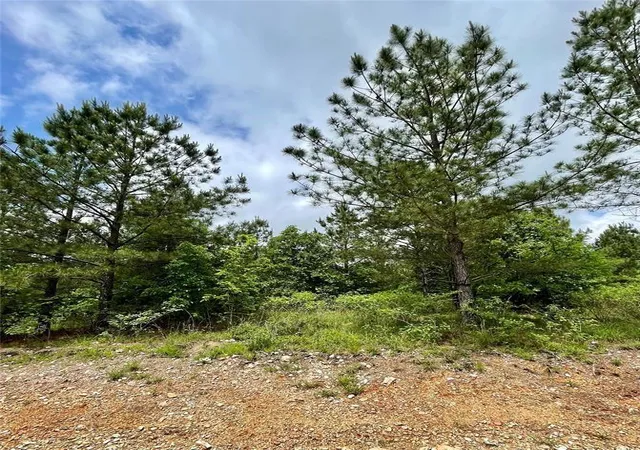 Homes for sale in Broken Bow, OK | 682 Timber Creek Trails South Xi, Broken Bow, OK 74728 | MLS# 1155584