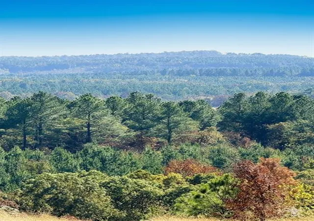 Photo 1 of Land for sale at 187 Sliding Hl Trl, Broken Bow, OK 74728 | MLS# 1156247 | Listing updated on 2026-01-22