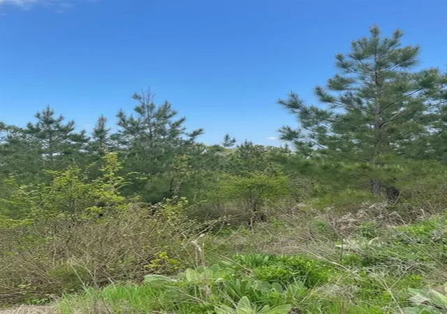 Photo 2 of Land for sale at 187 Sliding Hl Trl, Broken Bow, OK 74728 | MLS# 1156247 | Listing updated on 2026-01-22