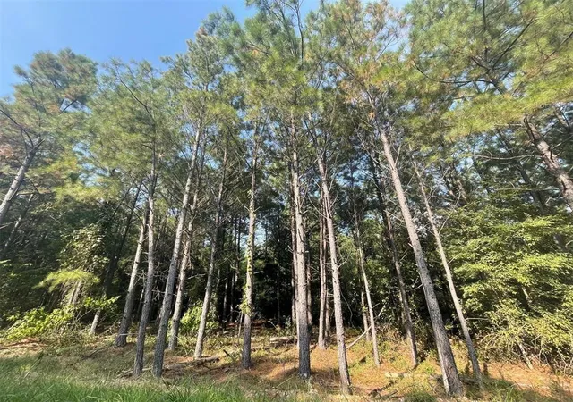 Photo 1 of Land for sale at 56 Green Olive Trl, Broken Bow, OK 74728 | MLS# 1157358 | Listing updated on 2025-12-01