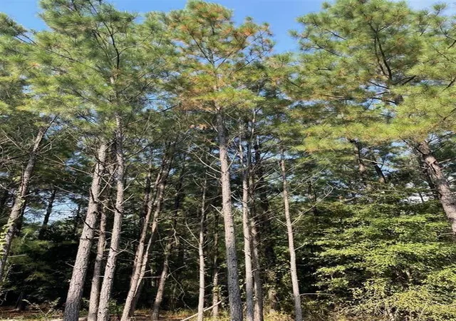 Photo 3 of Land for sale at 56 Green Olive Trl, Broken Bow, OK 74728 | MLS# 1157358 | Listing updated on 2025-12-01