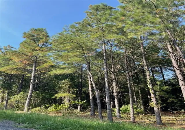 Photo 4 of Land for sale at 56 Green Olive Trl, Broken Bow, OK 74728 | MLS# 1157358 | Listing updated on 2025-12-01
