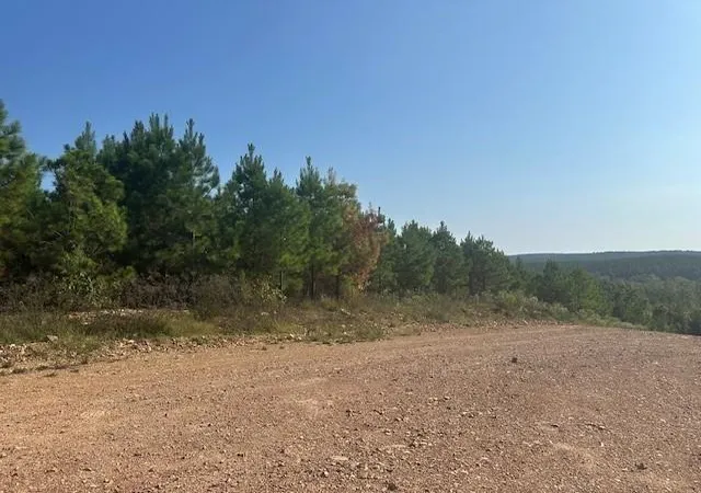 3rd image of 276 Legacy Vista Trl, Broken Bow, OK 74728 | MLS# 1162233