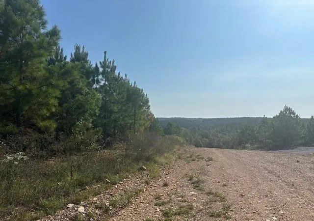 5th image of 276 Legacy Vista Trl, Broken Bow, OK 74728 | MLS# 1162233