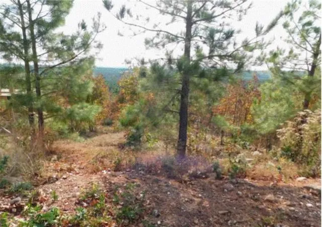 3rd image of 764 Kaisley Blue Eye Way, Broken Bow, OK 74728 | MLS# 1162823