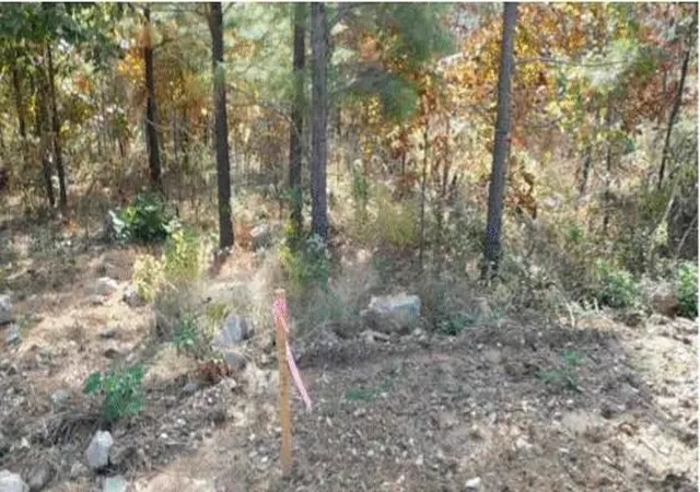 5th image of 764 Kaisley Blue Eye Way, Broken Bow, OK 74728 | MLS# 1162823