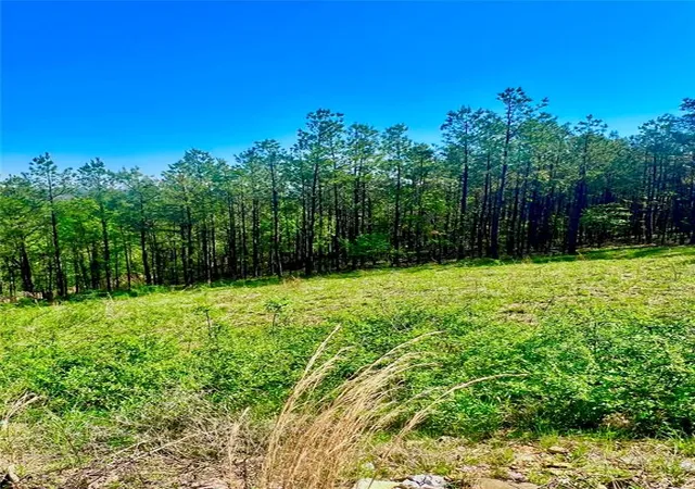 11th image of 48 N Wild Cherry Pl, Broken Bow, OK 74728 | MLS# 1163474