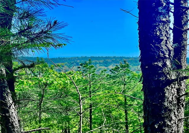 1st image of 48 N Wild Cherry Pl, Broken Bow, OK 74728 | MLS# 1163474