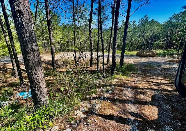 2nd image of 48 N Wild Cherry Pl, Broken Bow, OK 74728 | MLS# 1163474