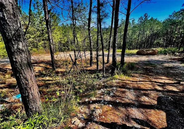 4th image of 48 N Wild Cherry Pl, Broken Bow, OK 74728 | MLS# 1163474