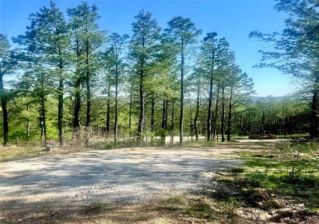 5th image of 48 N Wild Cherry Pl, Broken Bow, OK 74728 | MLS# 1163474