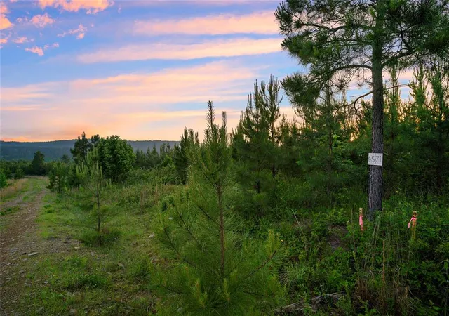 Photo 3 of Land for sale at 393 Overcup Oak Trl, Broken Bow, OK 74728 | MLS# 1165799 | Listing updated on 2025-04-20
