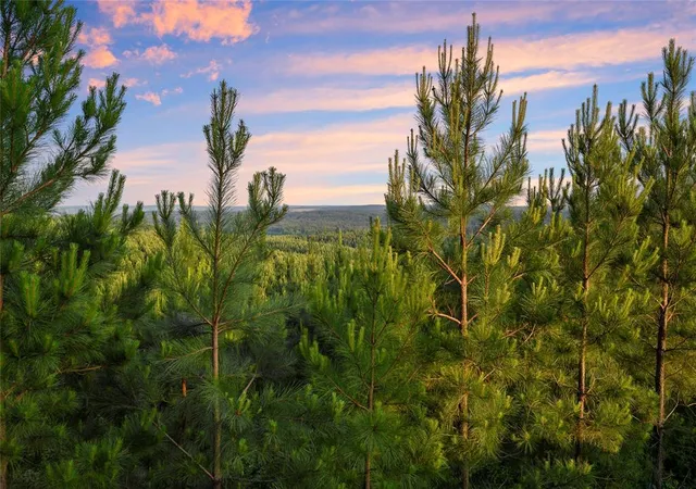 Photo 2 of Land for sale at 335 Monterey Oak Trl, Broken Bow, OK 74728 | MLS# 1165803 | Listing updated on 2025-04-21