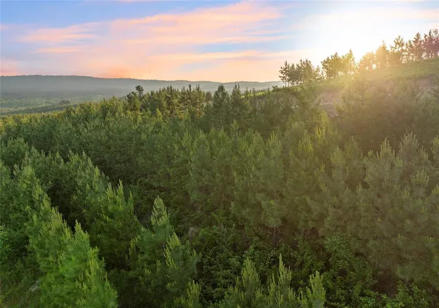Photo 3 of Land for sale at 335 Monterey Oak Trl, Broken Bow, OK 74728 | MLS# 1165803 | Listing updated on 2025-04-21