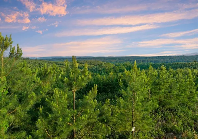 Photo 2 of Land for sale at 27 Scarlet Oak Trl, Broken Bow, OK 74728 | MLS# 1165804 | Listing updated on 2025-04-21
