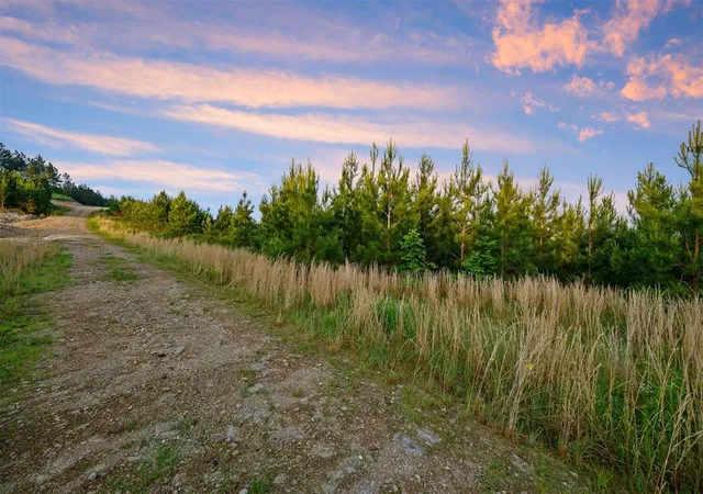 Photo 4 of Land for sale at 27 Scarlet Oak Trl, Broken Bow, OK 74728 | MLS# 1165804 | Listing updated on 2025-04-21