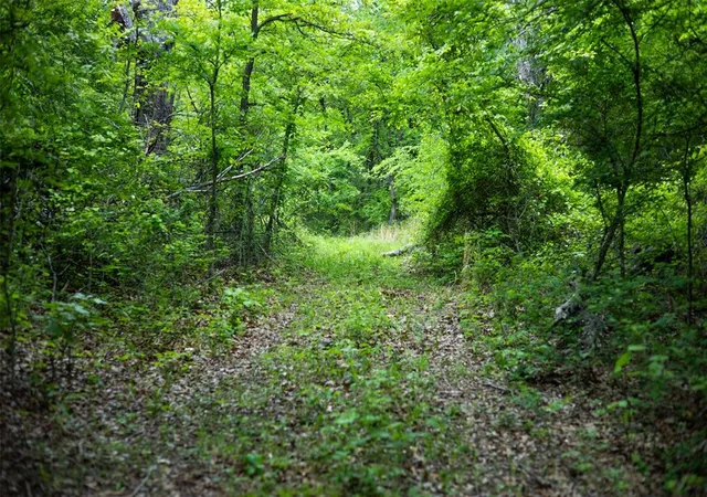 4th image of 1 Ns 4120Th Rd, Eufaula, OK 74432 | MLS# 1167562