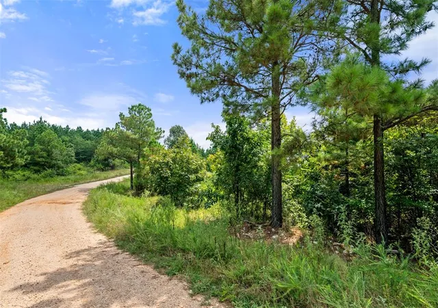 Photo 3 of Land for sale at 368 Kaisley Blue Eye Way, Broken Bow, OK 74728 | MLS# 1168094 | Listing updated on 2026-04-12