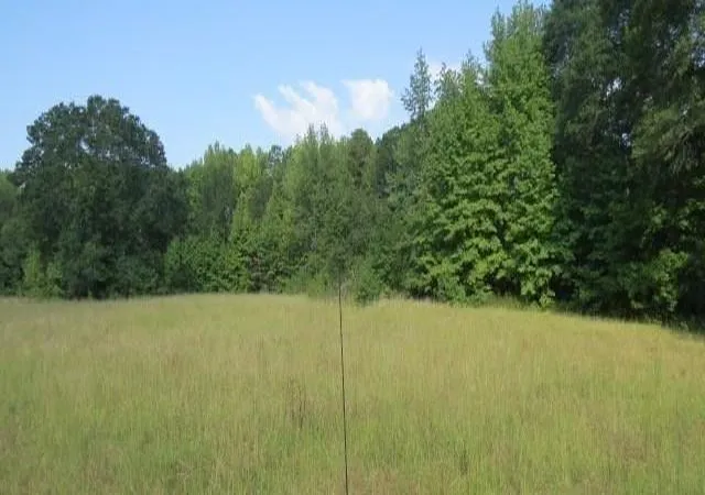 Photo 4 of Land for sale at 739 Bethel Cemetery Rd, Broken Bow, OK 74728 | MLS# 1169808 | Listing updated on 2025-05-17