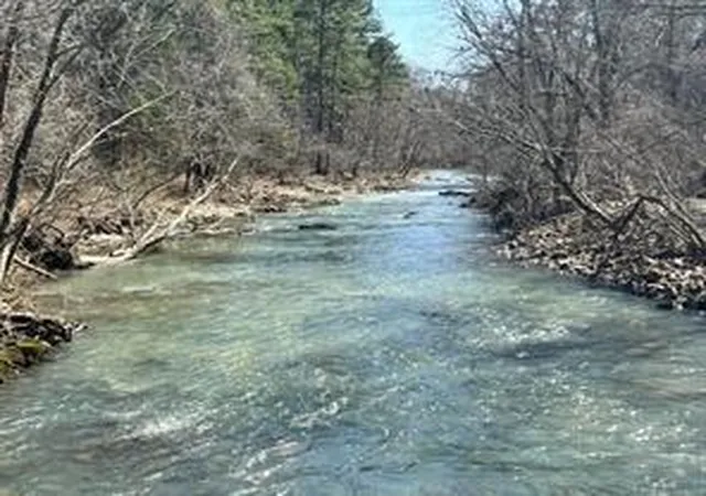 Photo 5 of Land for sale at 739 Bethel Cemetery Rd, Broken Bow, OK 74728 | MLS# 1169808 | Listing updated on 2025-05-17