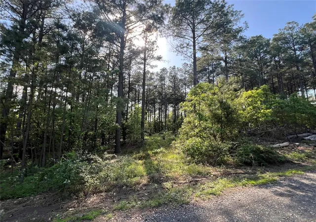 Photo 1 of Land for sale at 239 Triton Trl, Broken Bow, OK 74728 | MLS# 1170090 | Listing updated on 2025-10-25