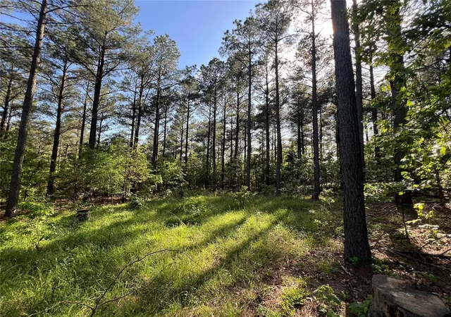Photo 2 of Land for sale at 239 Triton Trl, Broken Bow, OK 74728 | MLS# 1170090 | Listing updated on 2025-10-25