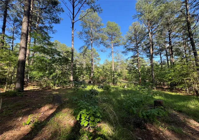 Photo 3 of Land for sale at 239 Triton Trl, Broken Bow, OK 74728 | MLS# 1170090 | Listing updated on 2025-10-25