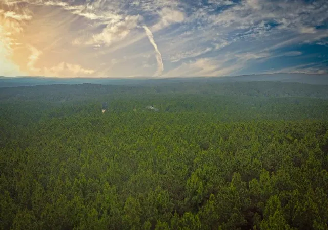 1st image of 598 Pine Hills Rd, Broken Bow, OK 74728 | MLS# 1170126