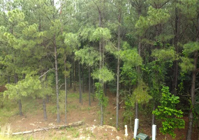 5th image of 598 Pine Hills Rd, Broken Bow, OK 74728 | MLS# 1170126