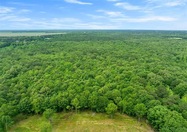 Homes for sale in Idabel, OK | 2590 Old 21 Rd, Idabel, OK 74745 | MLS# 1170182