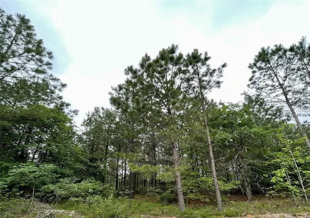 1st image of 685 Ridge Rd, Watson, OK 74963 | MLS# 1171978