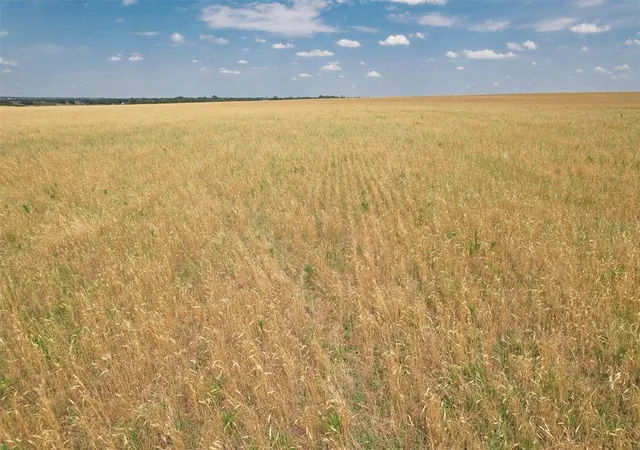 Photo 12 of Land for sale at E County Rd 205 Rd, Altus, OK 73521 | MLS# 1174959 | Listing updated on 2026-06-03