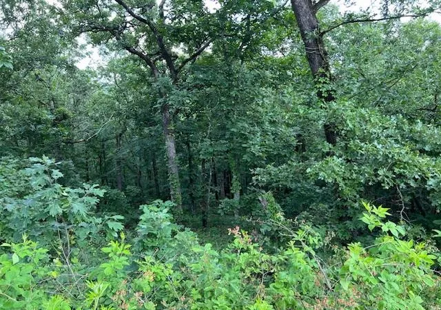 Photo 2 of Land for sale at 204 Vista Del Lago Trl, Broken Bow, OK 74728 | MLS# 1175625 | Listing updated on 2025-12-09