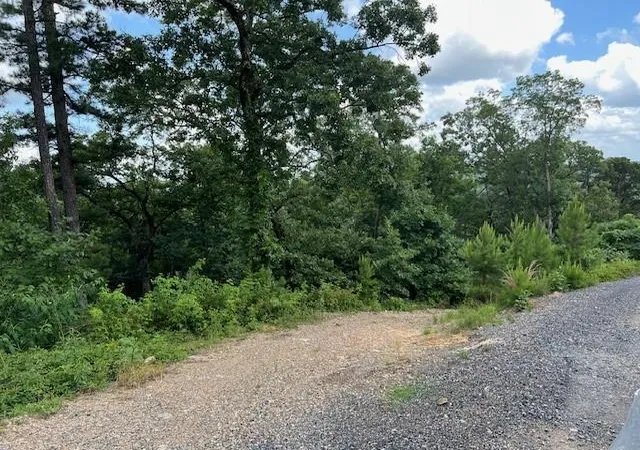 Photo 4 of Land for sale at 204 Vista Del Lago Trl, Broken Bow, OK 74728 | MLS# 1175625 | Listing updated on 2025-12-09