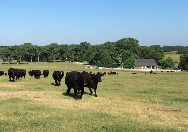 32nd image of 13477 State Hwy 74b, Blanchard, OK 73010 | MLS# 1176723