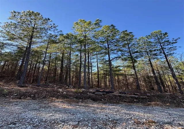 Photo 3 of Land for sale at 73 Elmwood Ct, Broken Bow, OK 74728 | MLS# 1177533 | Listing updated on 2026-06-22