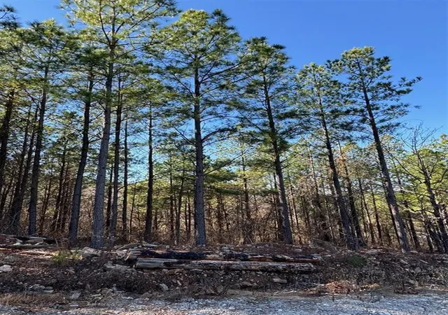 Photo 3 of Land for sale at 73 Elmwood Ct, Broken Bow, OK 74728 | MLS# 1177533 | Listing updated on 2026-06-22