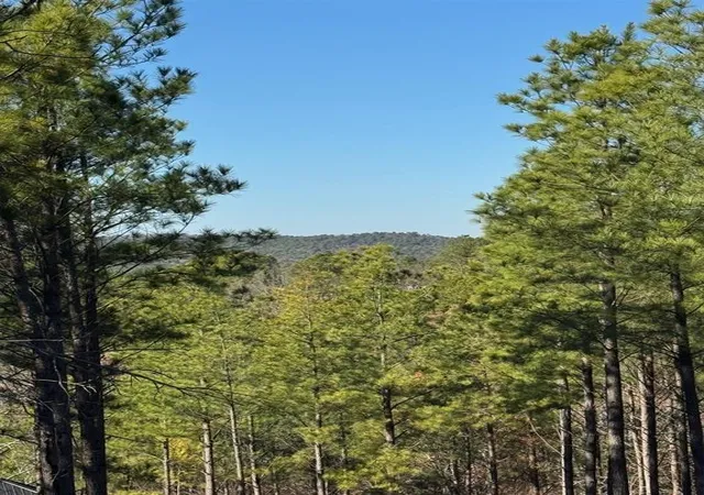 Photo 4 of Land for sale at 73 Elmwood Ct, Broken Bow, OK 74728 | MLS# 1177533 | Listing updated on 2026-06-22