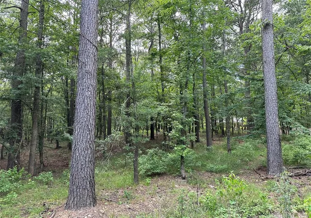 Homes for sale in Broken Bow, OK | 46 Lazy River Ln, Broken Bow, OK 74728 | MLS# 1177631