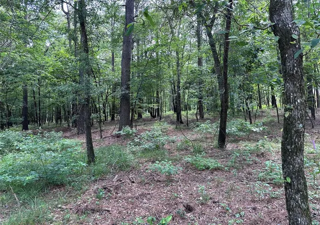 Homes for sale in Broken Bow, OK | 46 Lazy River Ln, Broken Bow, OK 74728 | MLS# 1177631