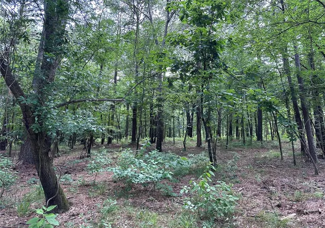 Homes for sale in Broken Bow, OK | 46 Lazy River Ln, Broken Bow, OK 74728 | MLS# 1177631