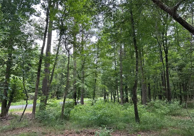 Homes for sale in Broken Bow, OK | 46 Lazy River Ln, Broken Bow, OK 74728 | MLS# 1177631