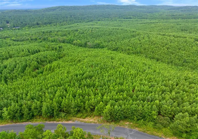 Photo 3 of Land for sale at 234 Sierra Vista Trl, Broken Bow, OK 74728 | MLS# 1178130 | Listing updated on 2026-06-16