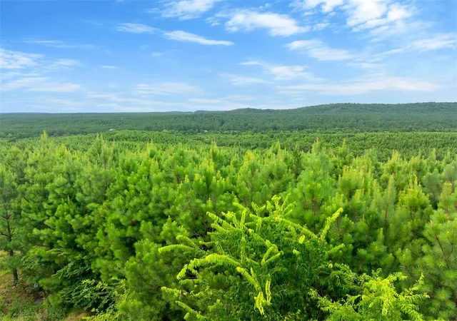 Photo 3 of Land for sale at 234 Sierra Vista Trl, Broken Bow, OK 74728 | MLS# 1178130 | Listing updated on 2026-06-16