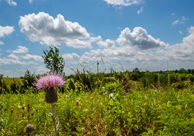 16th image of 2600 Cherokee Ln, Meridian, OK 73058 | MLS# 1179770