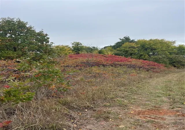 Photo 17 of Land for sale at 26131 Lot 6 Main St, Blanchard, OK 73010 | MLS# 1180130 | Listing updated on 2026-06-25
