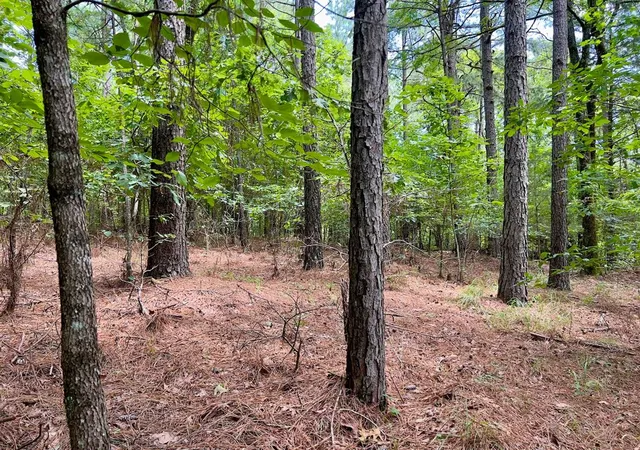 Photo 1 of Land for sale at 40 Trout Crk Rd, Watson, OK 74963 | MLS# 1180422 | Listing updated on 2026-09-21