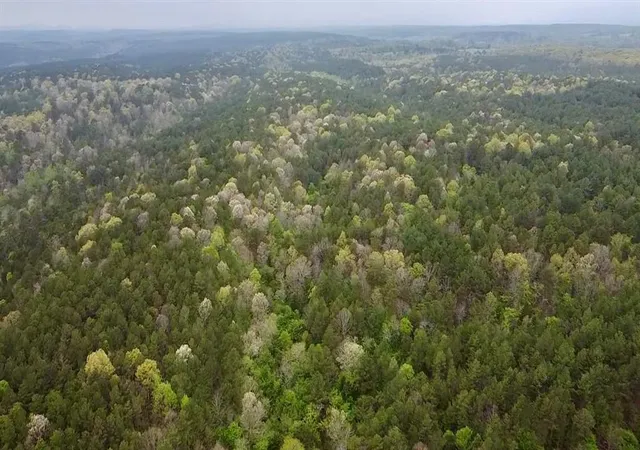 Photo 2 of Land for sale at 40 Trout Crk Rd, Watson, OK 74963 | MLS# 1180422 | Listing updated on 2026-09-21