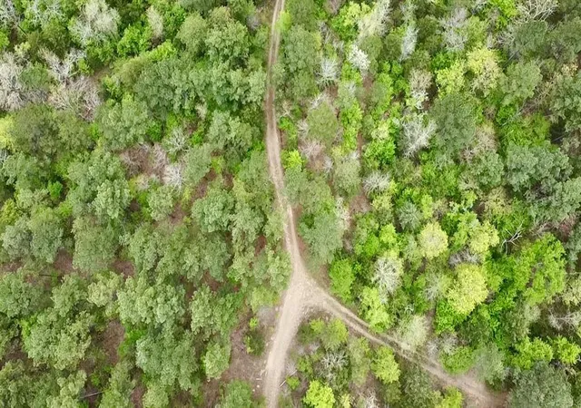 Photo 3 of Land for sale at 40 Trout Crk Rd, Watson, OK 74963 | MLS# 1180422 | Listing updated on 2026-09-21