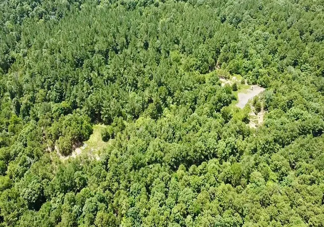 Photo 4 of Land for sale at 40 Trout Crk Rd, Watson, OK 74963 | MLS# 1180422 | Listing updated on 2026-09-21